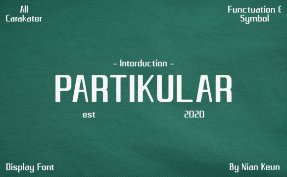 Partikular: A Minimalist Display Font for Modern Branding