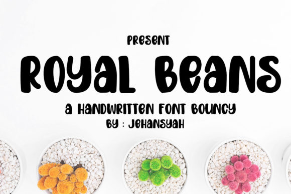 Royal Beans Display Font Review