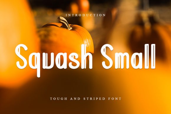 Squash Small: A Trendy Display Font for Modern Branding