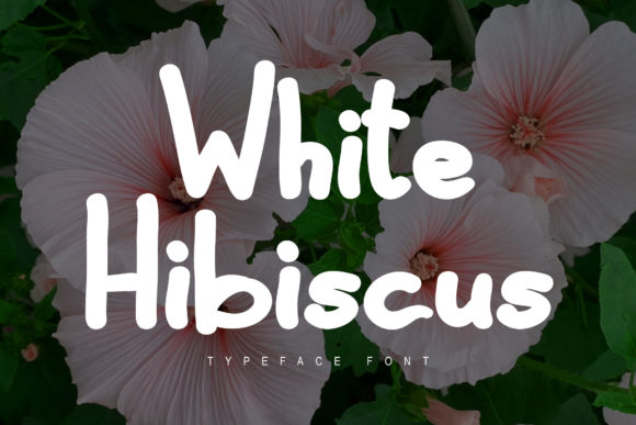 White Hibiscus Font for Web Design